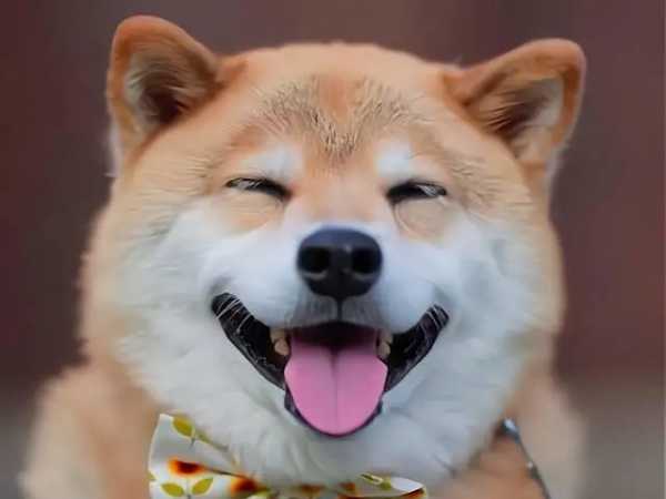 jT9-uR TiIjWSS3UitpUsKpVg478un YQR2xu-0Esajv-JiGa=G1fN9U1LmUfE51en5-hrMo5.jpeg