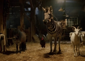 【熱斗小斑馬/赛场大反攻】webrip 1080p x265 [粤英双语冇字]