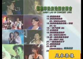 刘德华热浪劲爆演唱会