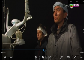 【TVB日劇】花水木 2010  新垣結衣 生田斗真