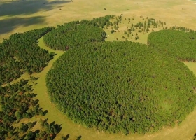 [米奇的故事/米奇: 传奇诞生] [1080p] [粤语] [四语言四字幕]