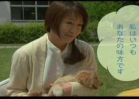 转载-电影《我和狗狗的100个约定》720 p