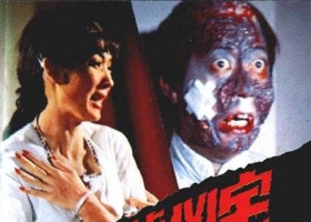 13号凶宅.粤语无字.DVD9.VOB已失效，不要购买