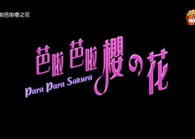 NOW爆谷台【芭啦芭啦櫻之花】720P