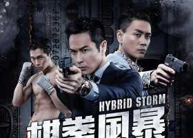 棋拳风暴（2025）[香港][犯罪/运动][BD2160P(4K全屏.H265)][MKV4.4GB][粤国双语中字]