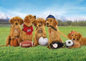 [迪士尼寶貝狗系列]【神犬小巴迪/反斗狗仔隊】