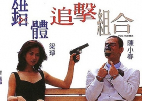 [轉載][bt][错体追击组合][1995][LDrip][1.159G][粤普]