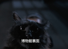 老猫 衛斯理之老貓 粤语