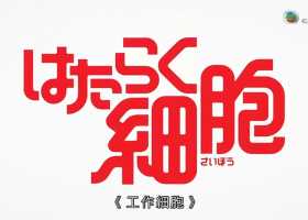 TXB【工作细胞】1-14集完 粤语中字