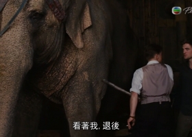 情約奇藝坊/大象的眼淚/粵語中字/1080P